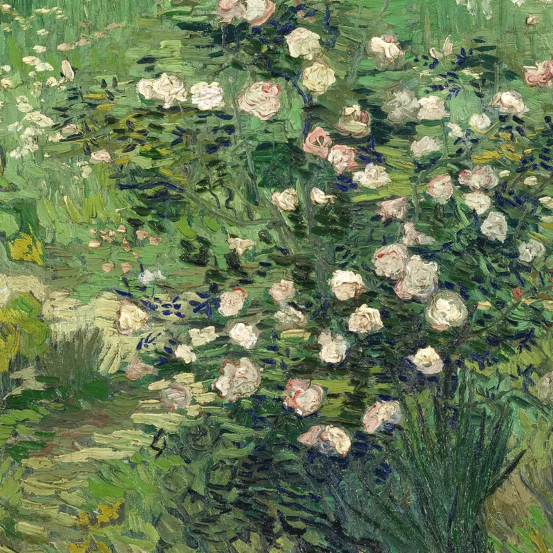 Zoomed view of Roses by Vincent van Gogh